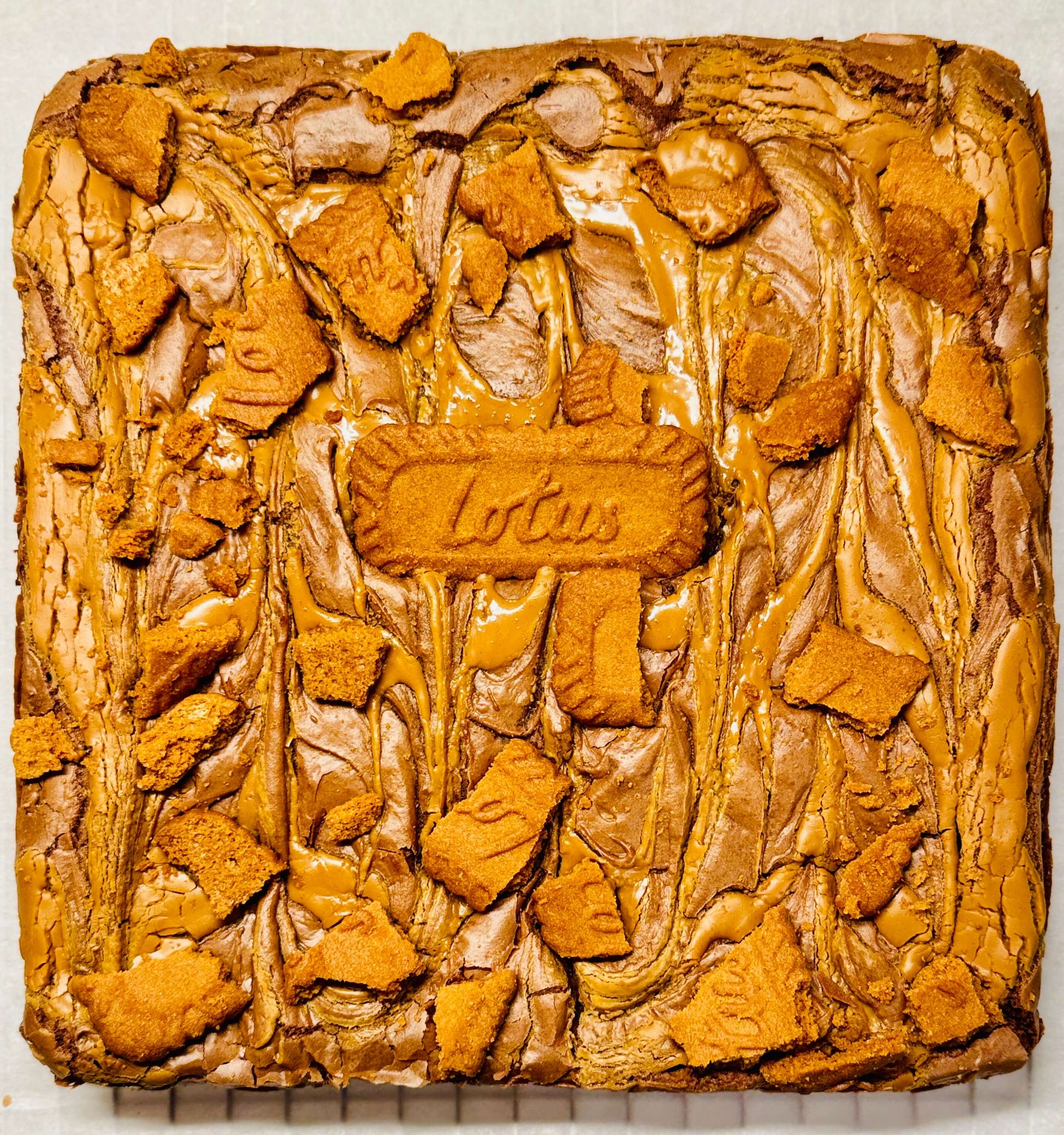 Biscoff Brownie - Brownie G