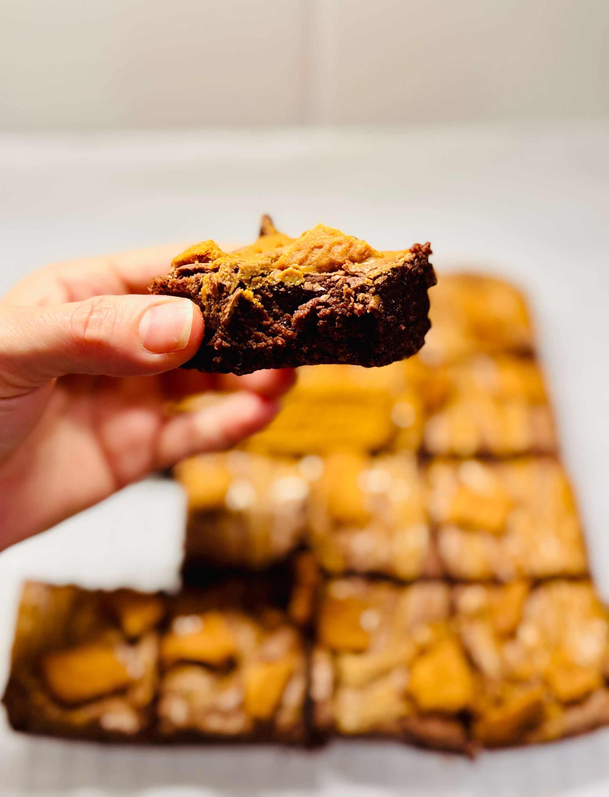 Biscoff Brownie - Brownie G