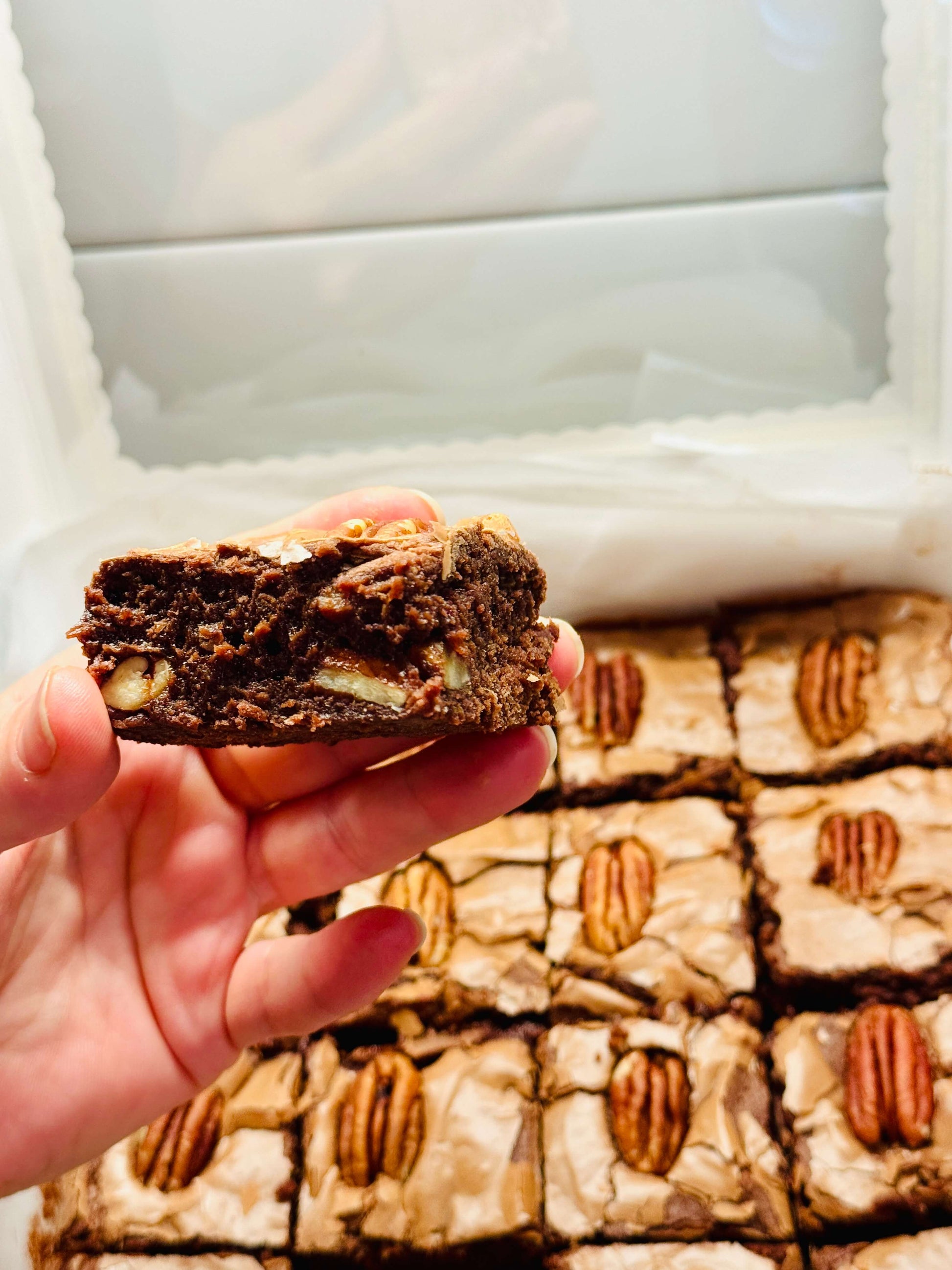 Pecan Brownie - Brownie G