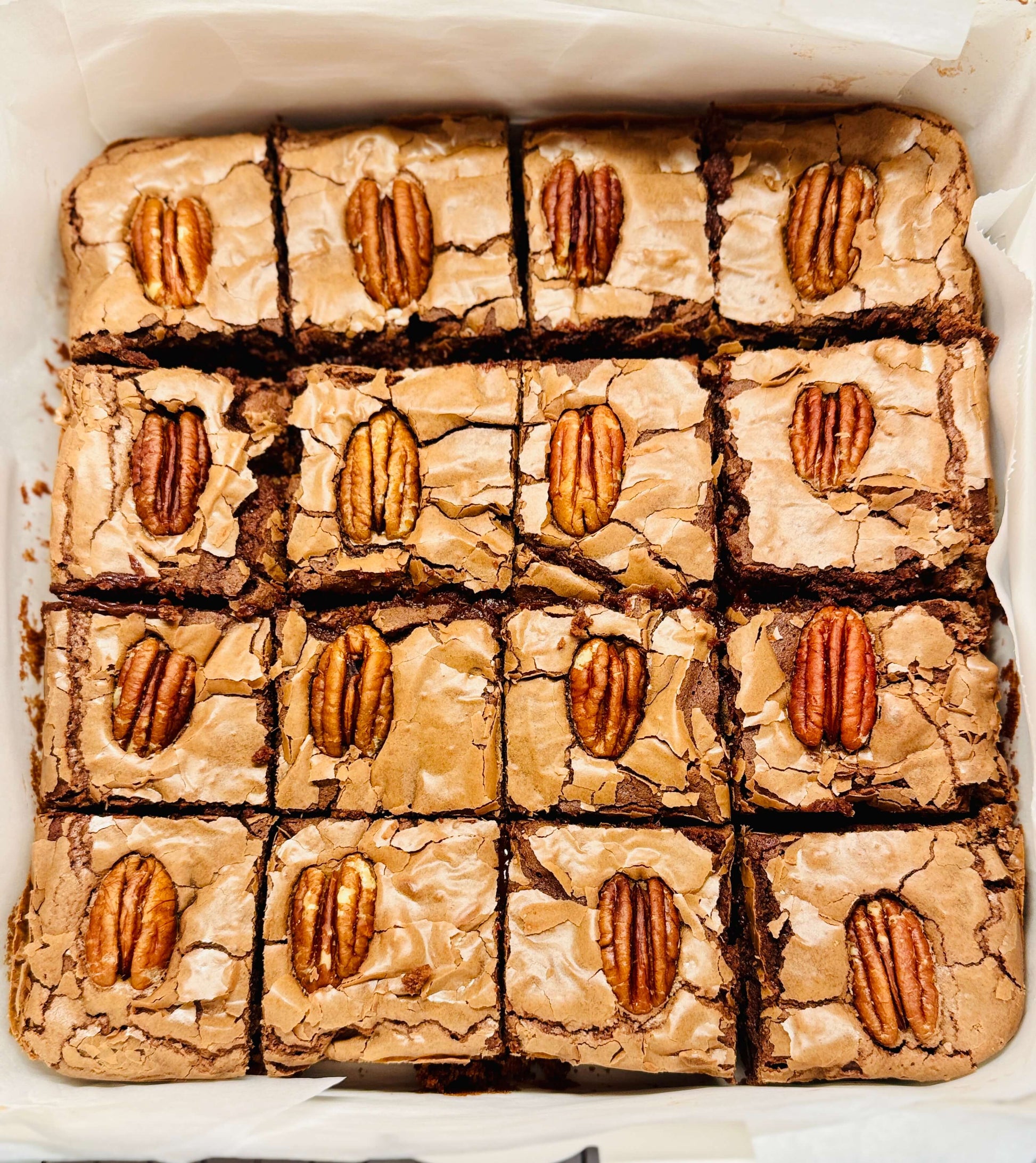 Pecan Brownie - Brownie G